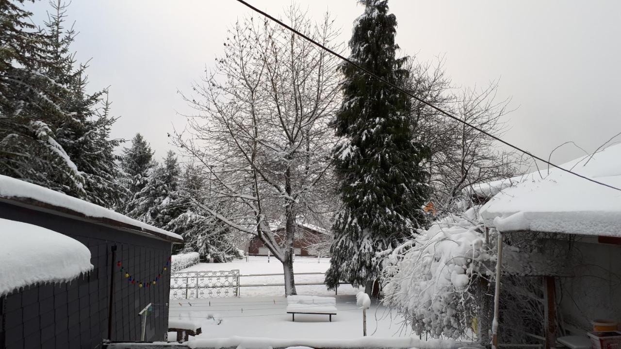 Ferienwohnungen! Kleine Bungalows Mit Terrasse! Stockhausen-Illfurth Exteriör bild